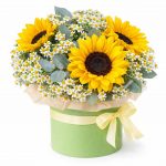 Цветы в коробке с ромашками